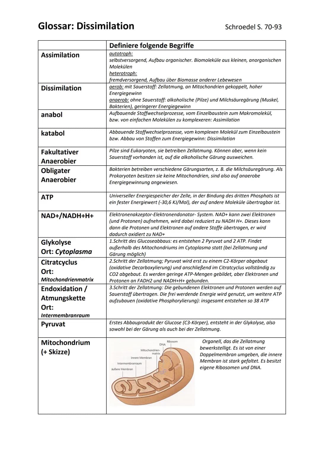 Biologie Ka 2-13/2
Ökologie
BEDEUTUNG DER FOTOSYNTHESE
Bedeutung für Erzeugung von Sauerstoff:
=
Fotosynthese ist wichtigster Stoffwechselpr