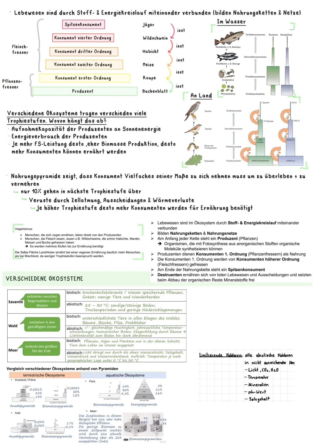 Biologie Ka 2-13/2
Ökologie
BEDEUTUNG DER FOTOSYNTHESE
Bedeutung für Erzeugung von Sauerstoff:
=
Fotosynthese ist wichtigster Stoffwechselpr