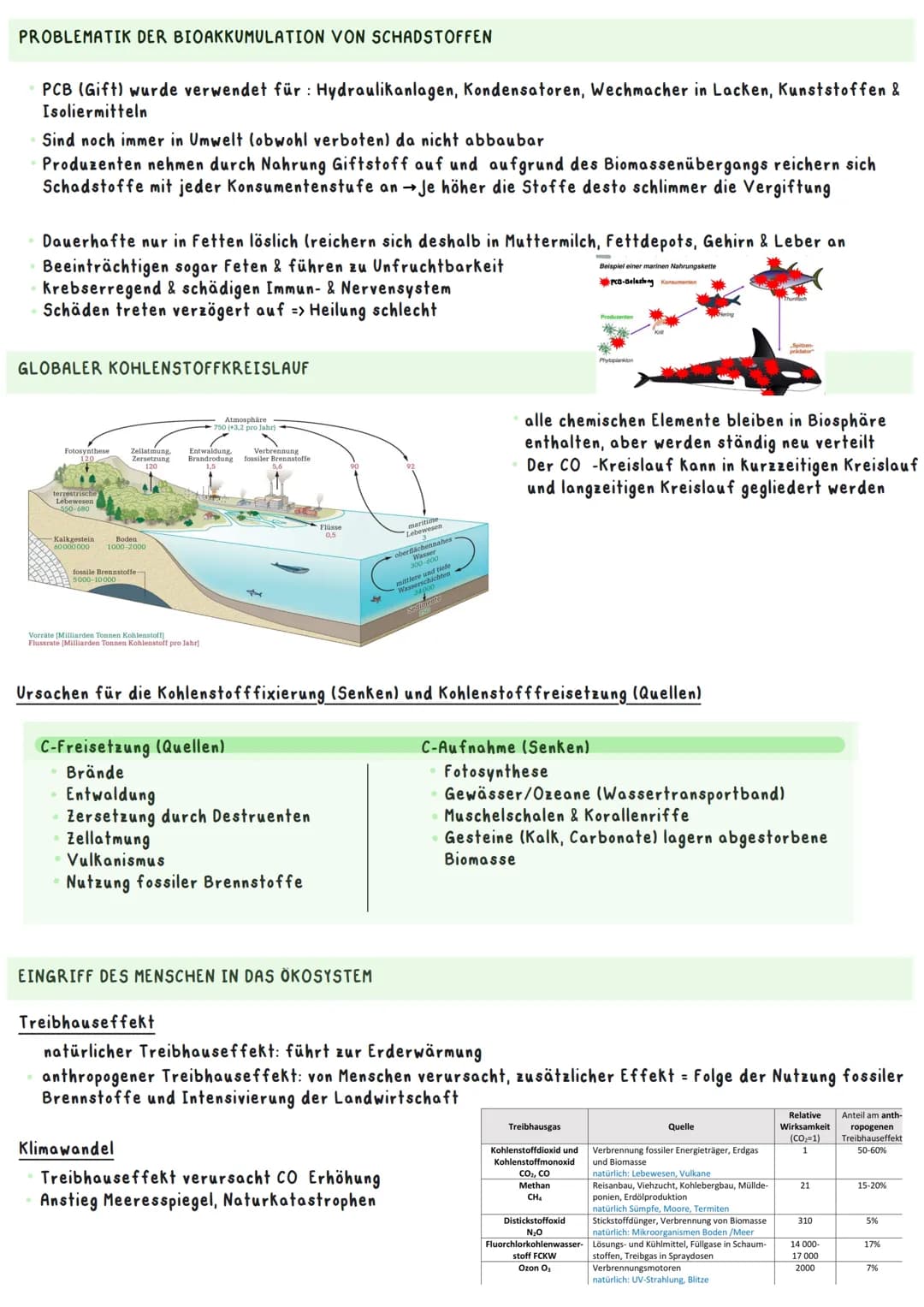 Biologie Ka 2-13/2
Ökologie
BEDEUTUNG DER FOTOSYNTHESE
Bedeutung für Erzeugung von Sauerstoff:
=
Fotosynthese ist wichtigster Stoffwechselpr