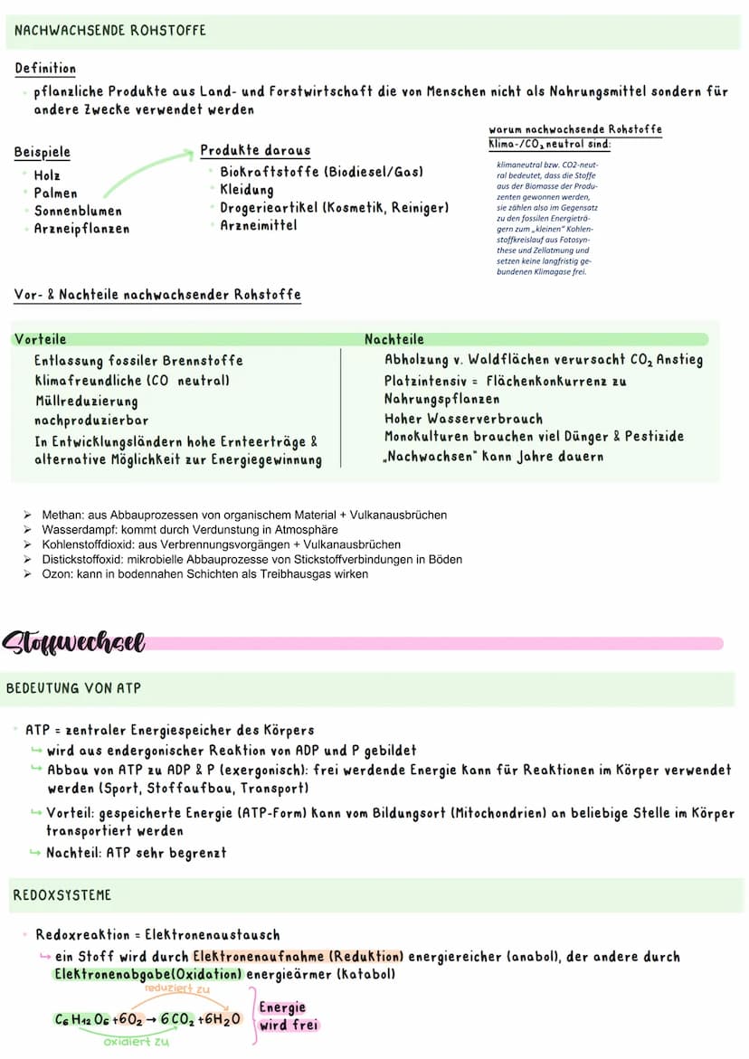 Biologie Ka 2-13/2
Ökologie
BEDEUTUNG DER FOTOSYNTHESE
Bedeutung für Erzeugung von Sauerstoff:
=
Fotosynthese ist wichtigster Stoffwechselpr