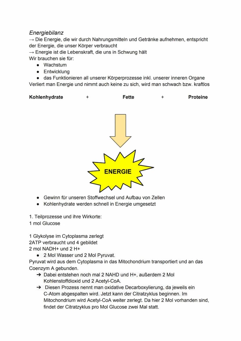 Zellatmung:
Biologie-Klausur Nr.2
-Stoffwechsel-
Die Zellatmung findet in dem Mitochondrium statt. bei Menschen, Pflanzen
und Tieren.
● währ