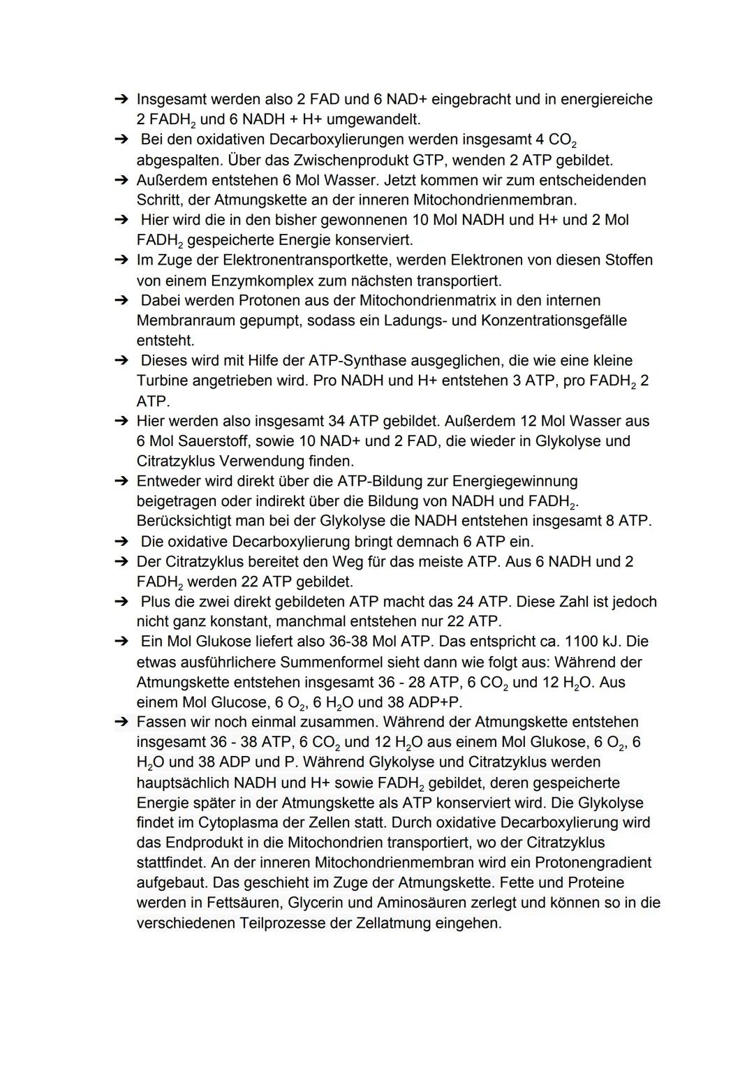 Zellatmung:
Biologie-Klausur Nr.2
-Stoffwechsel-
Die Zellatmung findet in dem Mitochondrium statt. bei Menschen, Pflanzen
und Tieren.
● währ