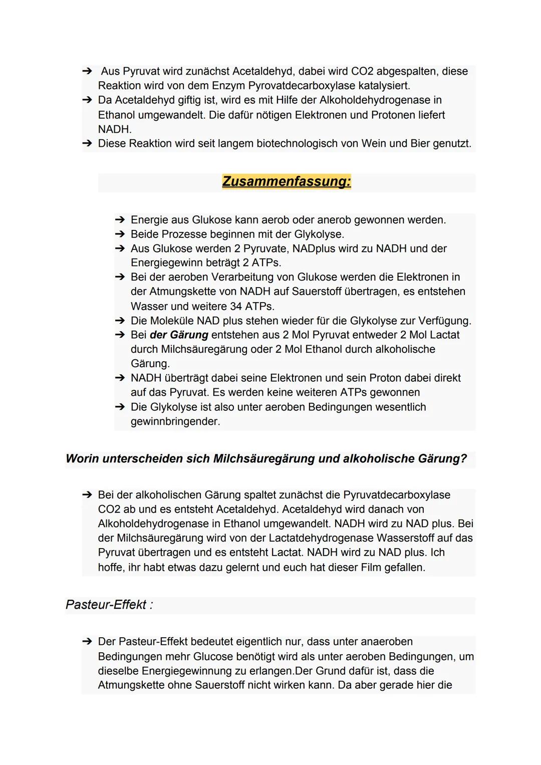 Zellatmung:
Biologie-Klausur Nr.2
-Stoffwechsel-
Die Zellatmung findet in dem Mitochondrium statt. bei Menschen, Pflanzen
und Tieren.
● währ