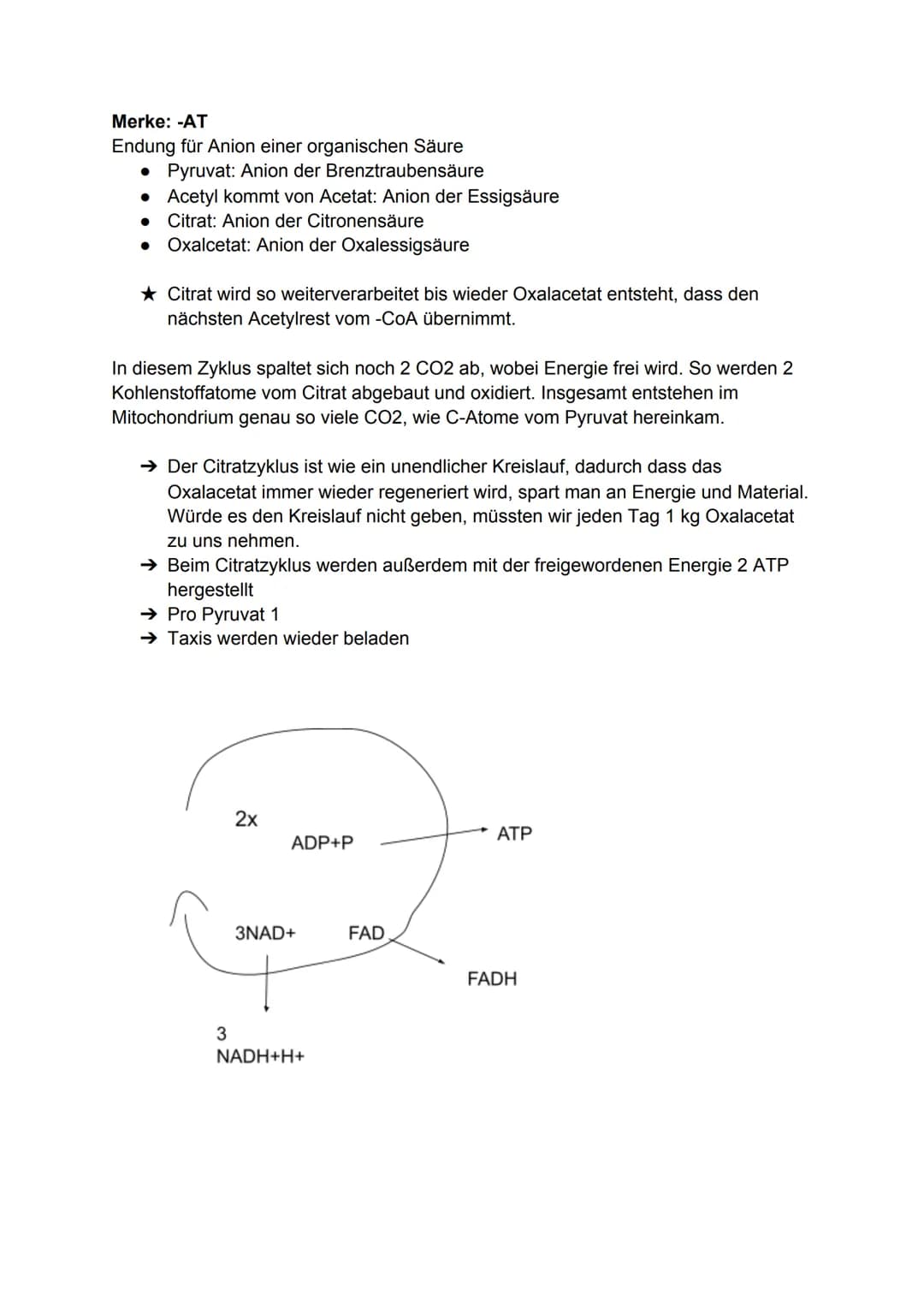 Zellatmung:
Biologie-Klausur Nr.2
-Stoffwechsel-
Die Zellatmung findet in dem Mitochondrium statt. bei Menschen, Pflanzen
und Tieren.
● währ