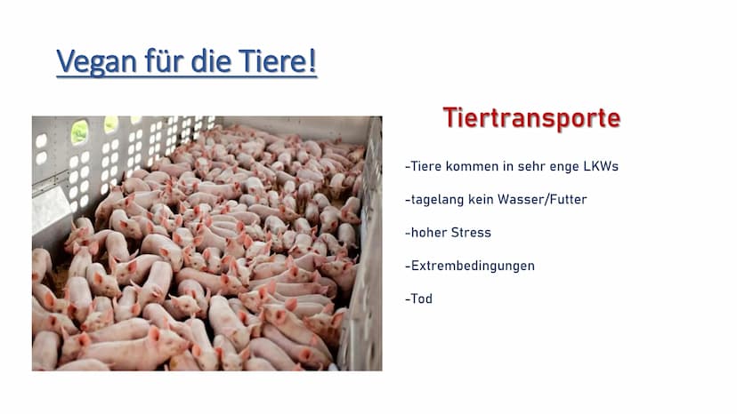 Die vegane Ernährung
V Vegane Ernährung
1.
ܣ ܐ ܩ ܩ ܐ ܣ ܐ ܪ
2.
3.
4.
5.
6.
7.
8.
Definition Veganismus
Die Ernährung
Gründe für das vegane Le