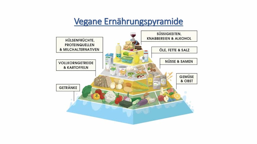 Die vegane Ernährung
V Vegane Ernährung
1.
ܣ ܐ ܩ ܩ ܐ ܣ ܐ ܪ
2.
3.
4.
5.
6.
7.
8.
Definition Veganismus
Die Ernährung
Gründe für das vegane Le