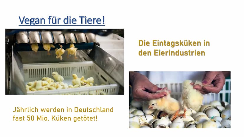 Die vegane Ernährung
V Vegane Ernährung
1.
ܣ ܐ ܩ ܩ ܐ ܣ ܐ ܪ
2.
3.
4.
5.
6.
7.
8.
Definition Veganismus
Die Ernährung
Gründe für das vegane Le