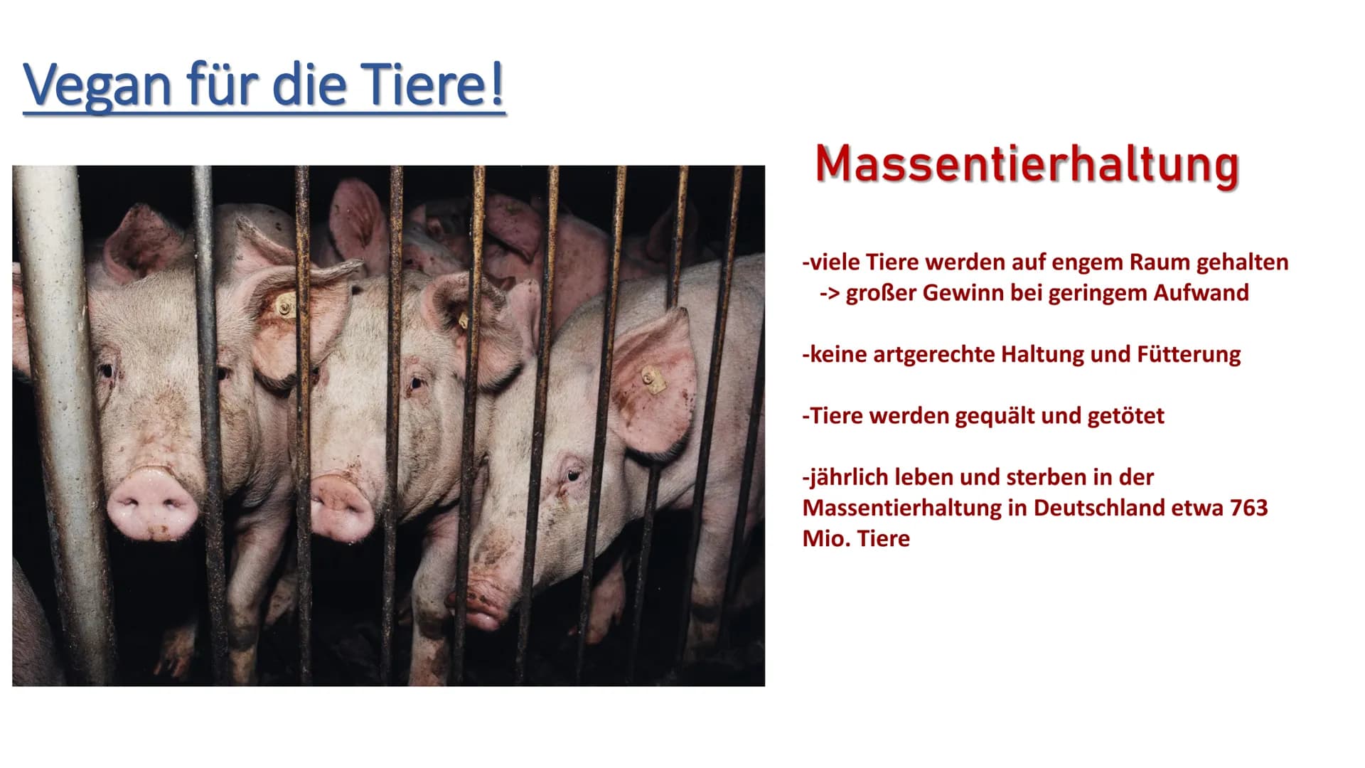 Die vegane Ernährung
V Vegane Ernährung
1.
ܣ ܐ ܩ ܩ ܐ ܣ ܐ ܪ
2.
3.
4.
5.
6.
7.
8.
Definition Veganismus
Die Ernährung
Gründe für das vegane Le