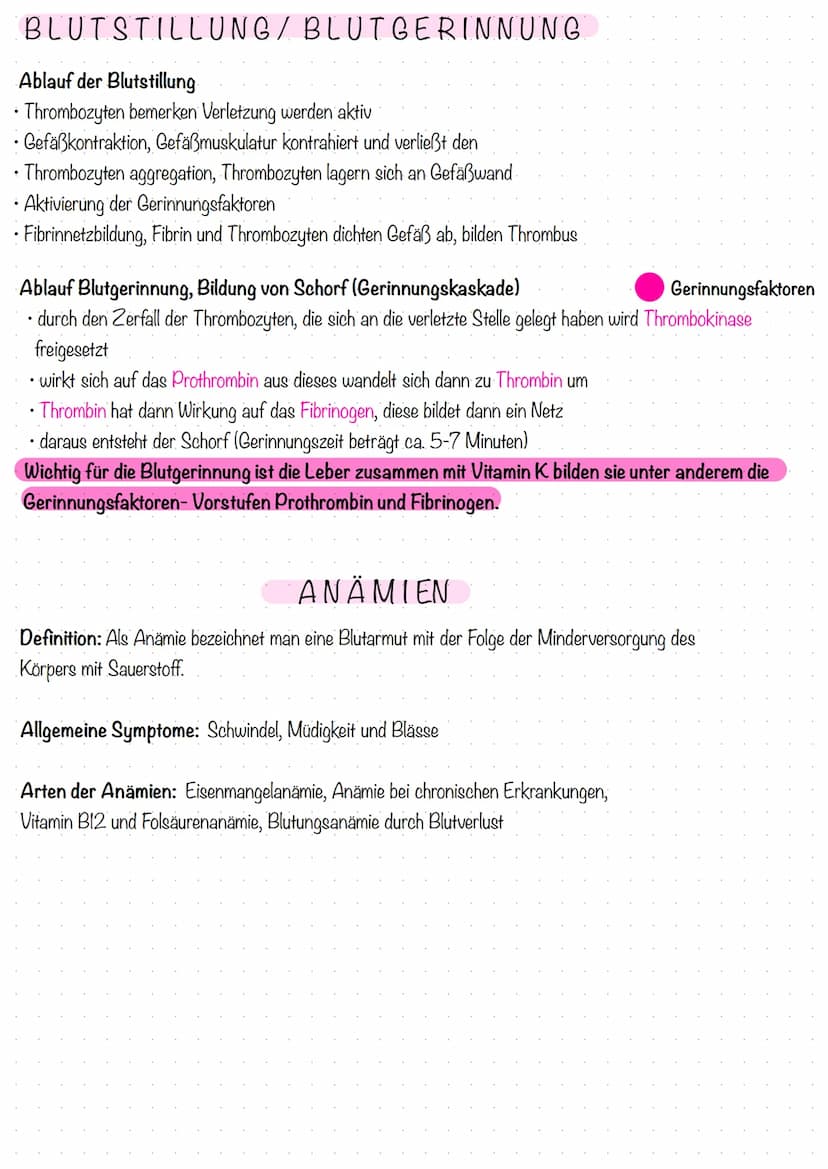 Lernfeld 5
Lernzettel Thema: Aufgaben und Bestandteile des Blutes/ Blutbild
AUFGABEN DES BLUTES Blutstillung und Gerinnung/ Anämien
Transpor