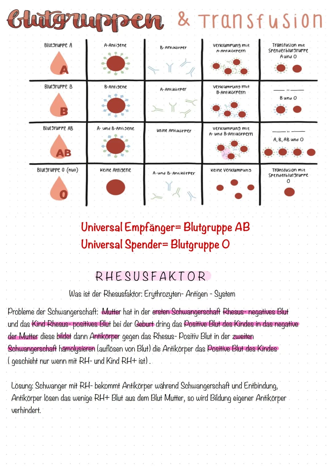 Lernfeld 5
Lernzettel Thema: Aufgaben und Bestandteile des Blutes/ Blutbild
AUFGABEN DES BLUTES Blutstillung und Gerinnung/ Anämien
Transpor