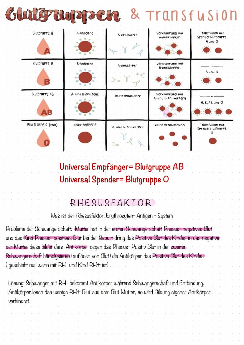 Lernfeld 5
Lernzettel Thema: Aufgaben und Bestandteile des Blutes/ Blutbild
AUFGABEN DES BLUTES Blutstillung und Gerinnung/ Anämien
Transpor