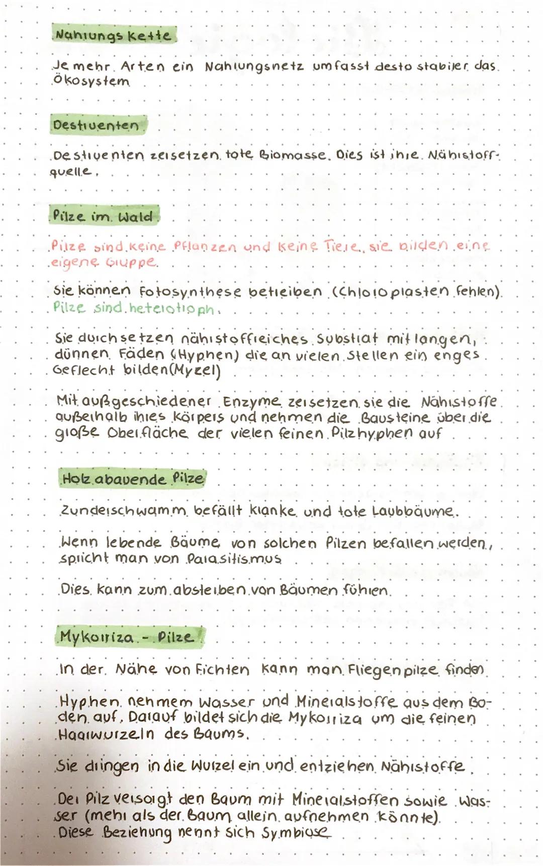 Ökosystem Wald
Baumschicht
bis 25m -40m.
BRUNNEN
Biologie
Strauch schicht
bis 5m.
Kiautschicht
bis 1m
Moosschicht
bis 0,20m.
Biotische und a