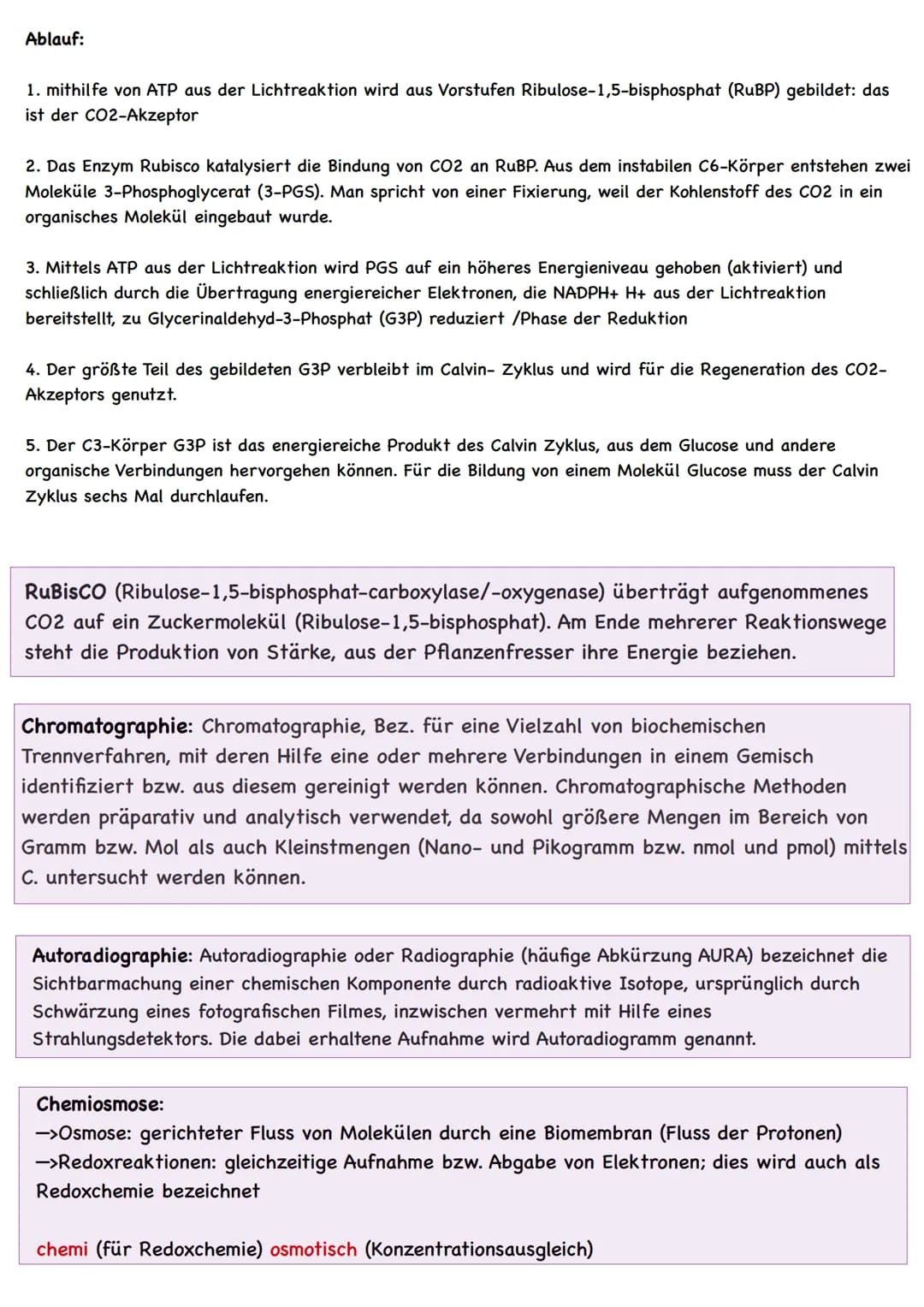  LAUBBLATT
Aufbau und Funktionen
Cuticula
Epidermis
Palisadengewebe
Schwammgewebe.
Epidermis
untere Cuticula
Querschnitt eines Laubblattes
S