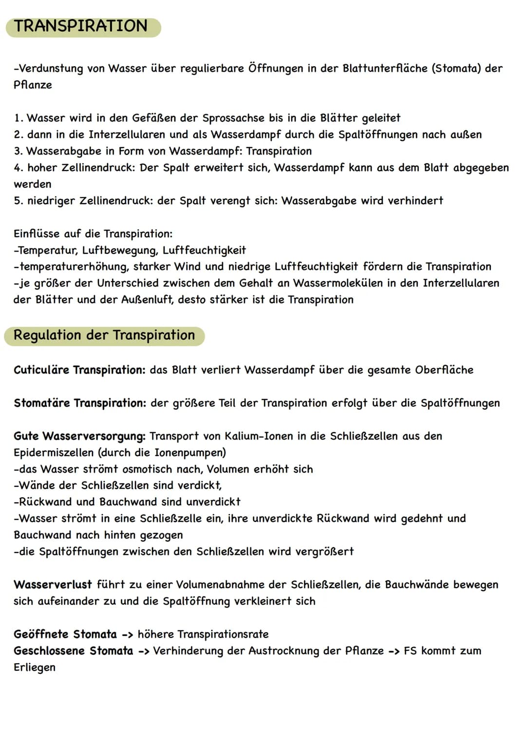  LAUBBLATT
Aufbau und Funktionen
Cuticula
Epidermis
Palisadengewebe
Schwammgewebe.
Epidermis
untere Cuticula
Querschnitt eines Laubblattes
S