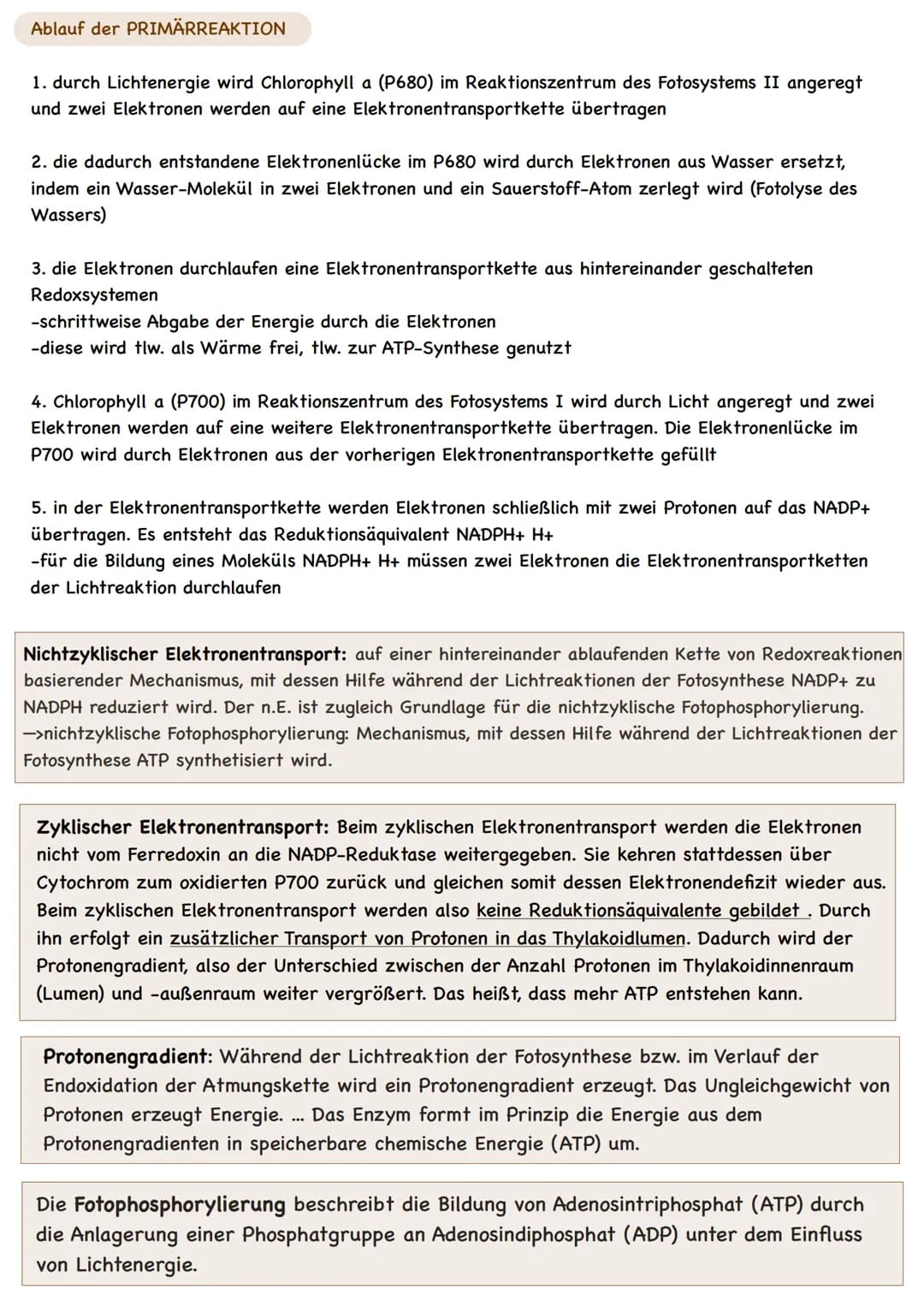  LAUBBLATT
Aufbau und Funktionen
Cuticula
Epidermis
Palisadengewebe
Schwammgewebe.
Epidermis
untere Cuticula
Querschnitt eines Laubblattes
S