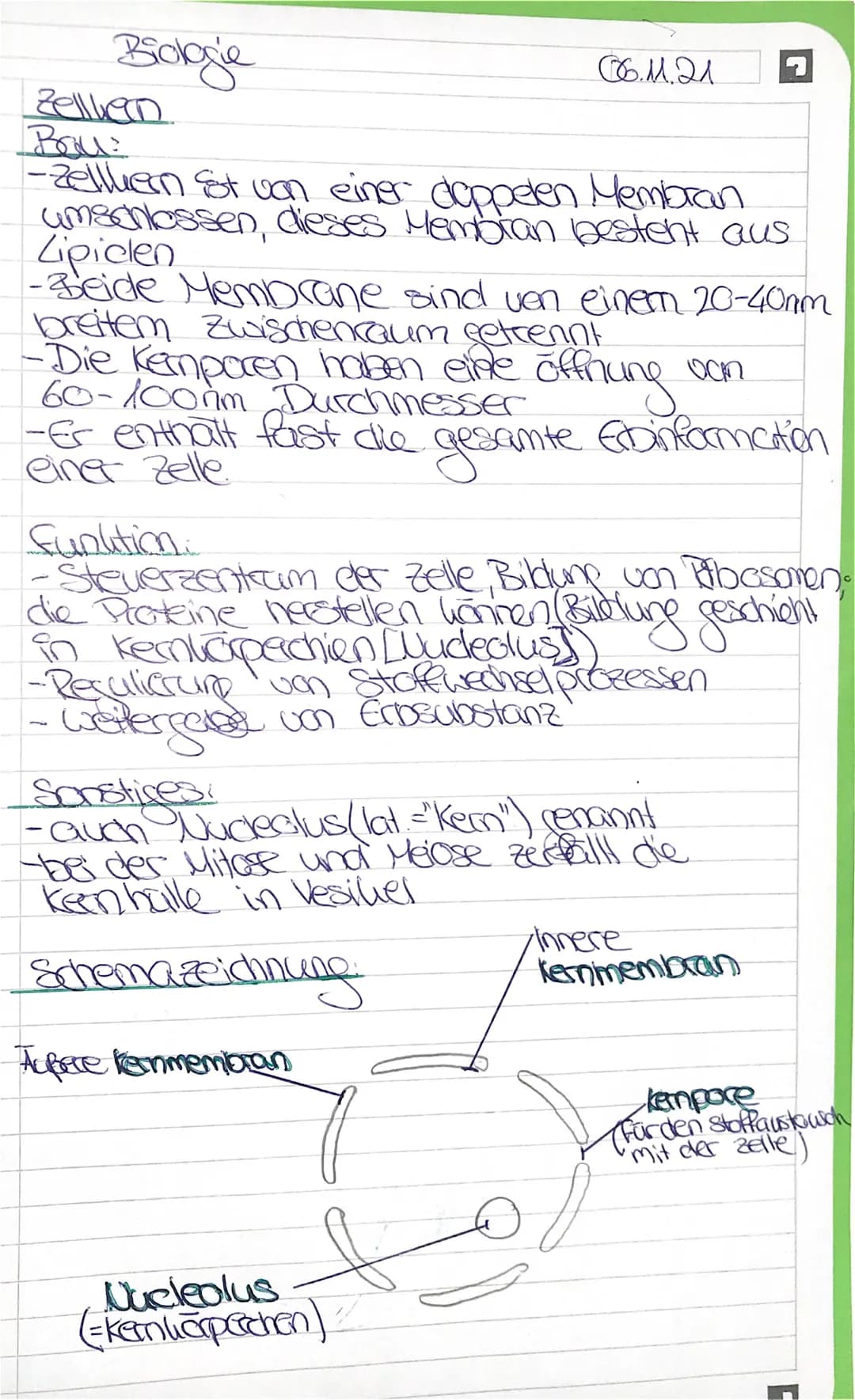 Biologie
съмал
Zelllen
Bru:
-Zeller St von einer doppelen Membran
umschlossen, dieses Membran besteht aus
Lipiclen
-Beide Membrane sind von 