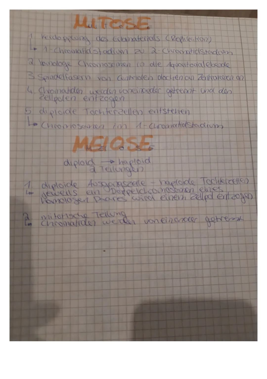 ALOGIE
I basiert auf gleichem selektionsdruck
unterschiedlicher Booplan
Temer konvergente Entweichers
Funktionsalinlichkeit
to analoge Orgen
