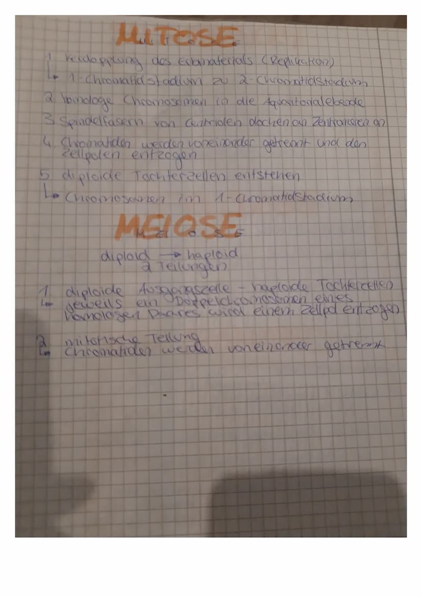 ALOGIE
I basiert auf gleichem selektionsdruck
unterschiedlicher Booplan
Temer konvergente Entweichers
Funktionsalinlichkeit
to analoge Orgen