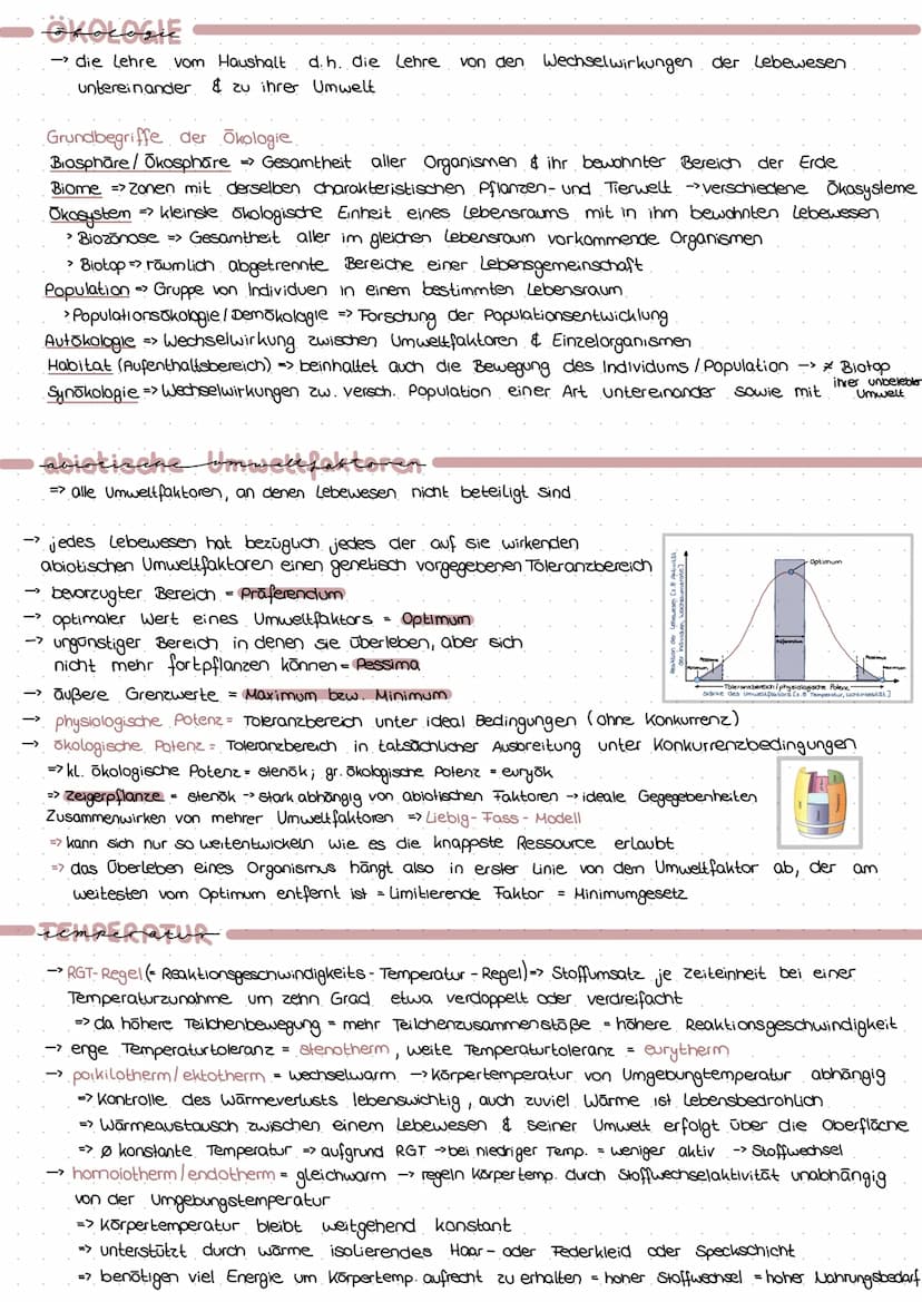 PROVARYOT VS EUKARYOT
Membran umgrenzt Organellen
Erbsubstanz
genetischer Austausch
→
Masse an Ribasomen
Cytoskelett
genetische Information
