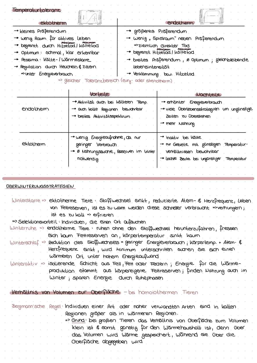 PROVARYOT VS EUKARYOT
Membran umgrenzt Organellen
Erbsubstanz
genetischer Austausch
→
Masse an Ribasomen
Cytoskelett
genetische Information
