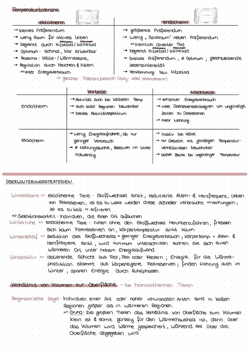 PROVARYOT VS EUKARYOT
Membran umgrenzt Organellen
Erbsubstanz
genetischer Austausch
→
Masse an Ribasomen
Cytoskelett
genetische Information
