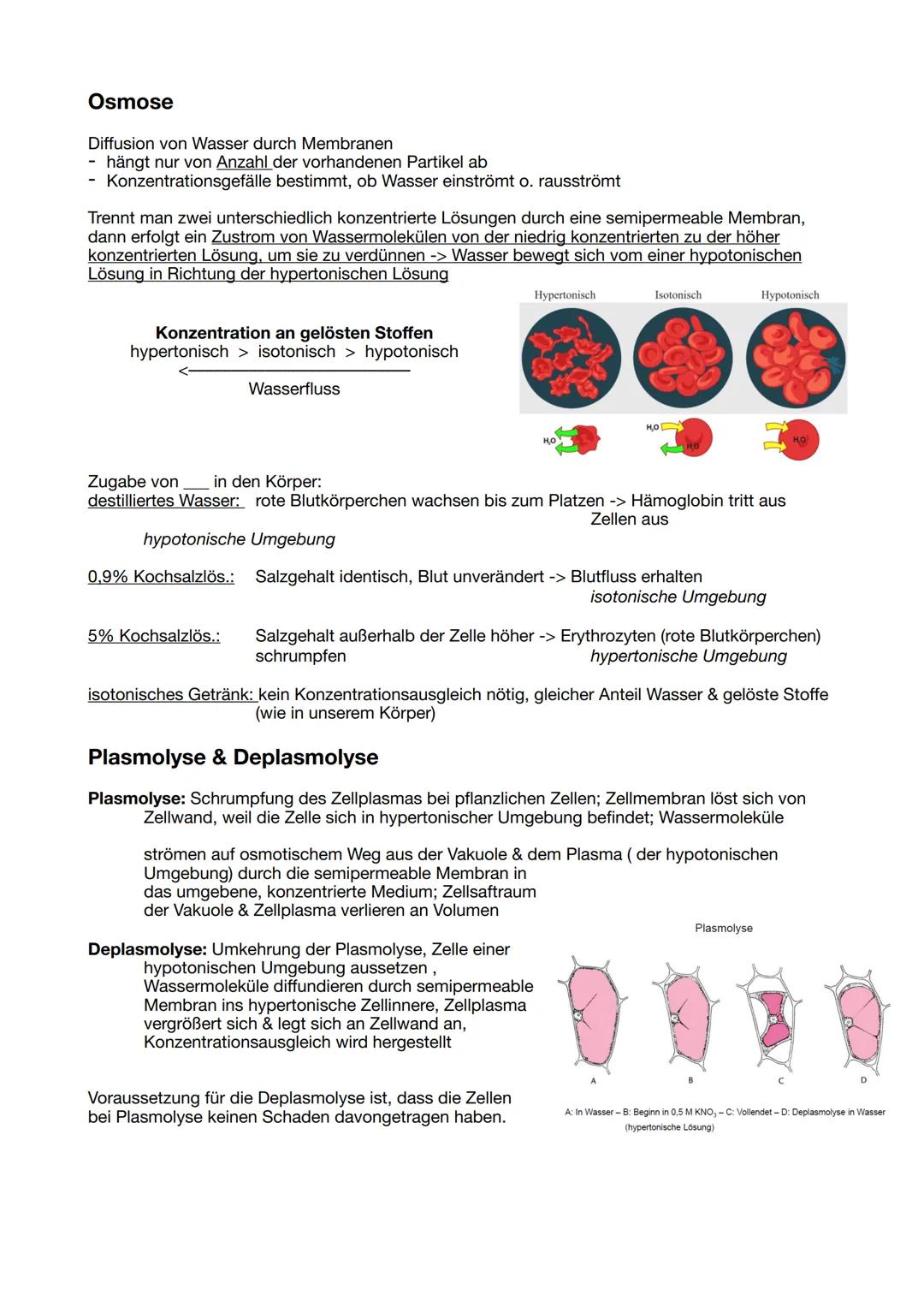 Funktion: Schutz, Transport,
Vermittler, Abgrenzung!
11/1 Biomembran
Flüssig-Mosaik-Modell
Membran besteht aus
zähflüssiger
Lipiddoppelschic