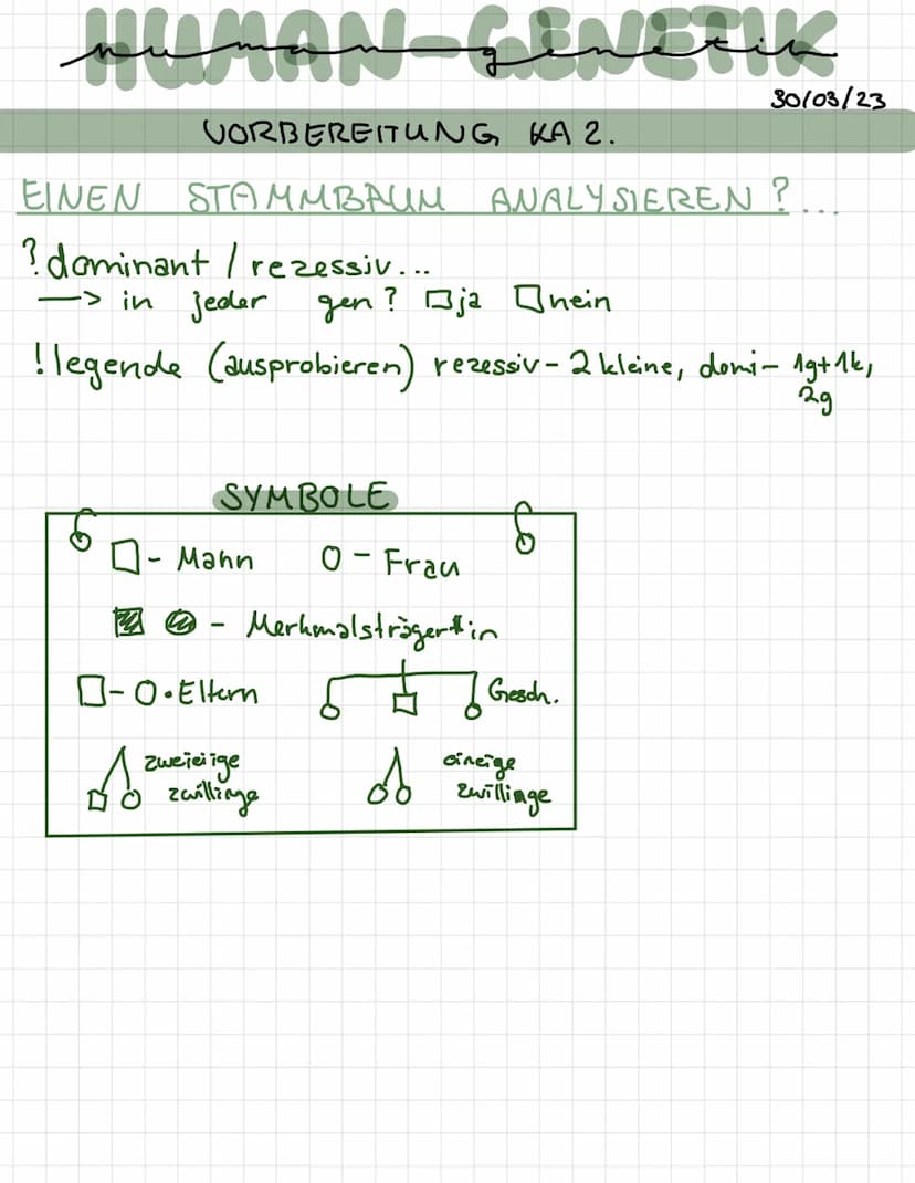 -
لمنستند
REIFETEILUNG 1+2
INTERPHASE
●
· Chromosome befinden.
enen
mit
verdoppelt
Zellmembran
wird
• Erbmaterial
●
2 PROPHASE 1
Chromosome
