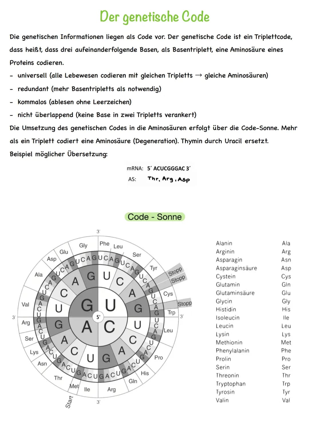 Chromatin
Chromatiden
Begriff
Chromosom
Centromer
DNA
Diploid
Haploid
Homologe
Chromosomen
Autosomen
Gonosom
Karyogramm
Nukleotid
Basen
Grun