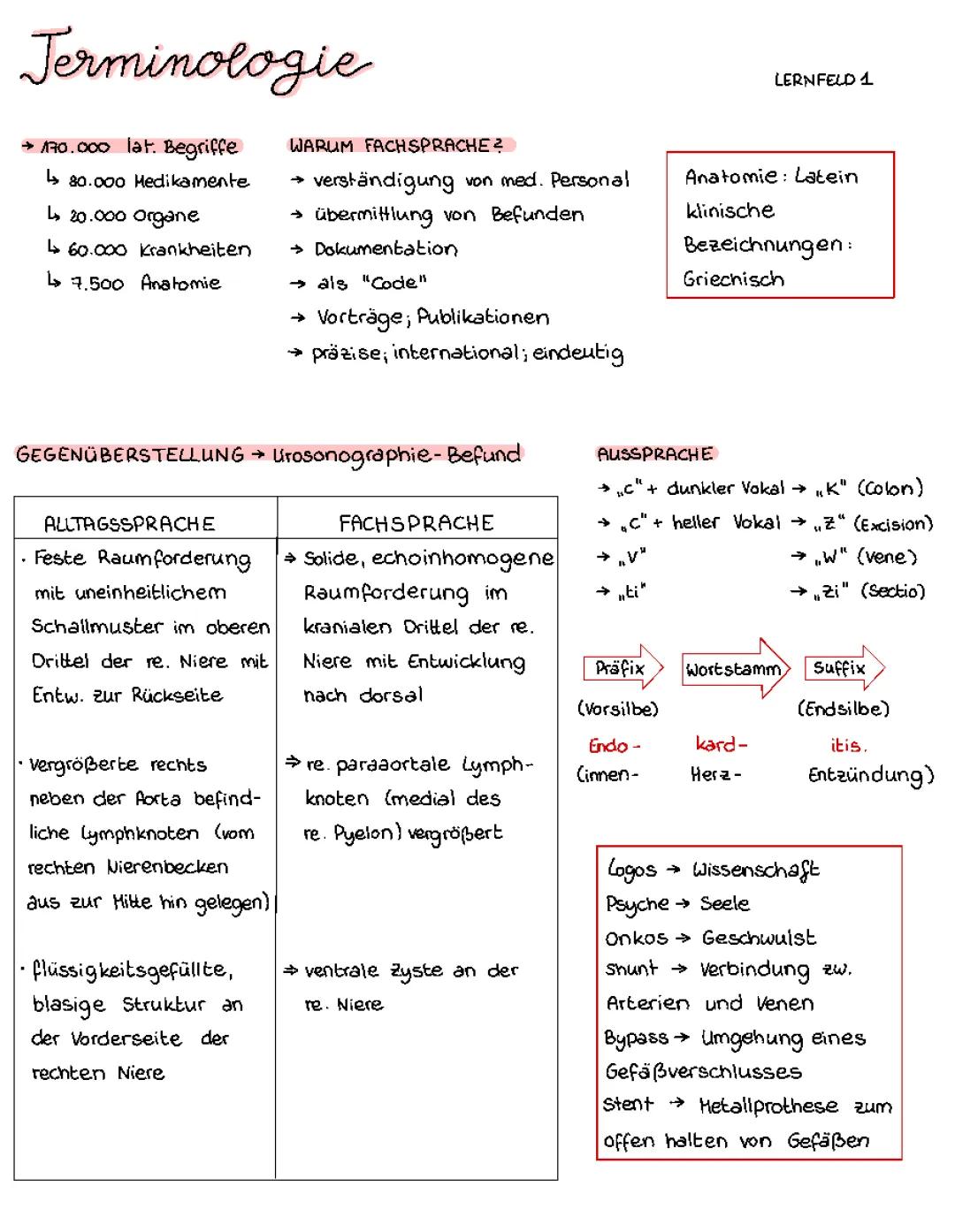 Terminologie Begriffe der Medizin und Pflege 