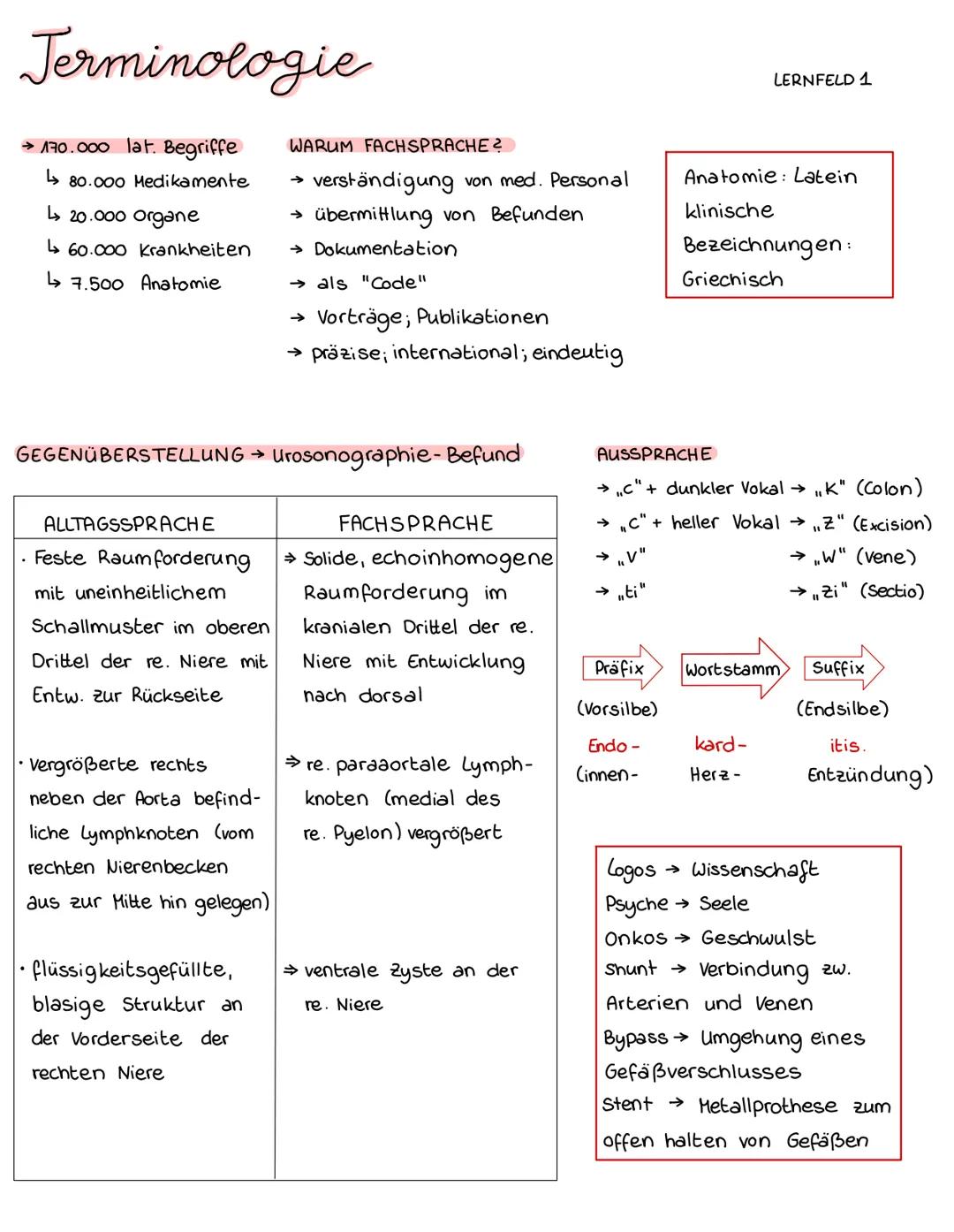 Terminologie
→ 170.000 lat. Begriffe
↳80.000 Medikamente
↳ 20.000 organe
↳60.000 Krankheiten
↳7.500 Anatomie
ALLTAGSSPRACHE
Feste Raumforder
