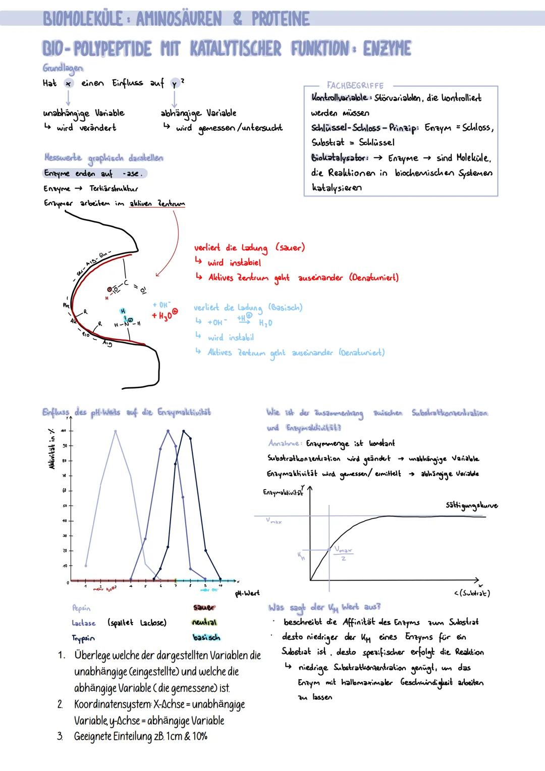 BIOMOLEKULE AMINOSÄUREN & PROTEINE
AUFBAU AMINOSÄUREN
Allgemeine Strukturformel + alle funktionellen Gruppen
zentrales Kohlenstoffatom
Amino