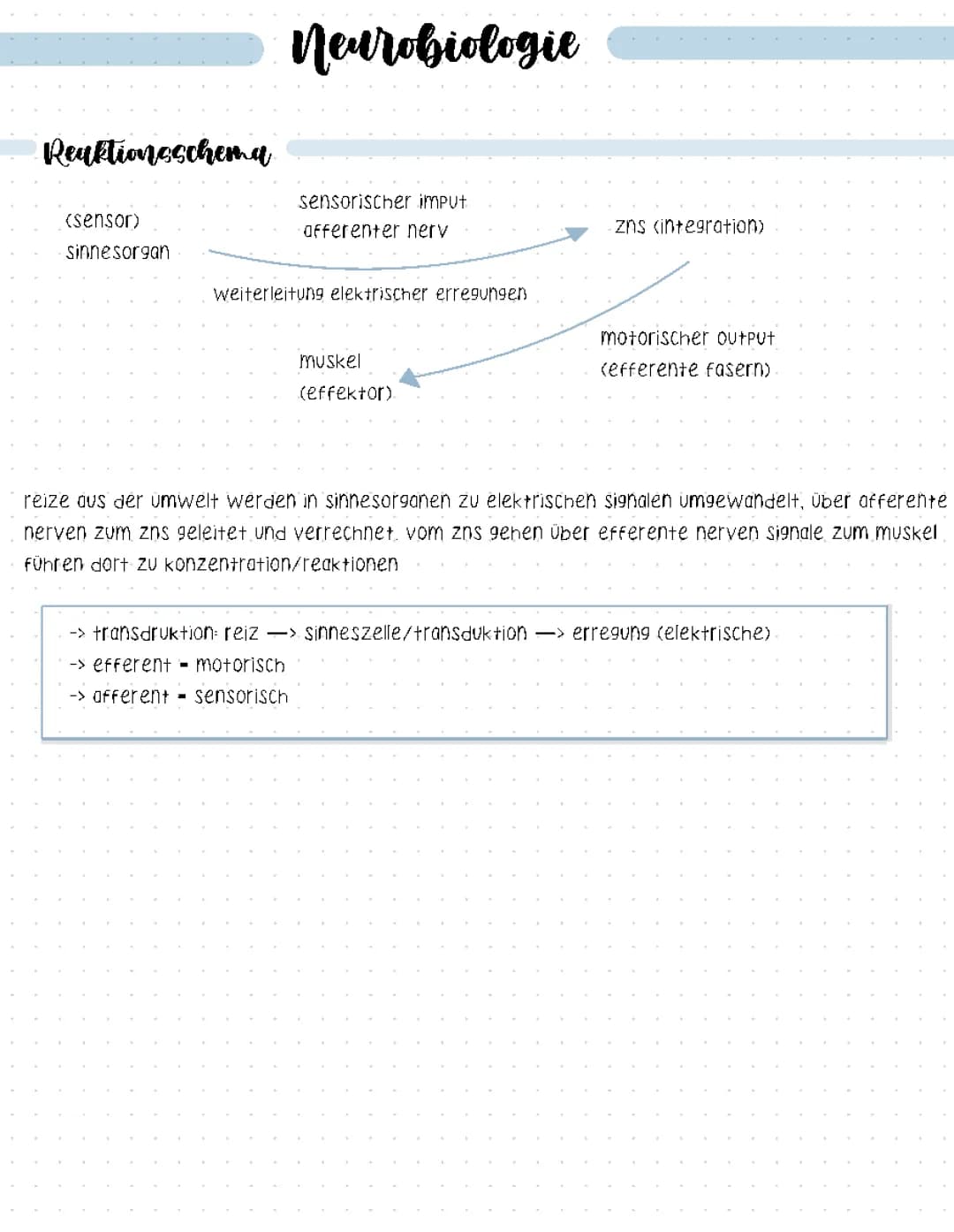 Neurobiologie