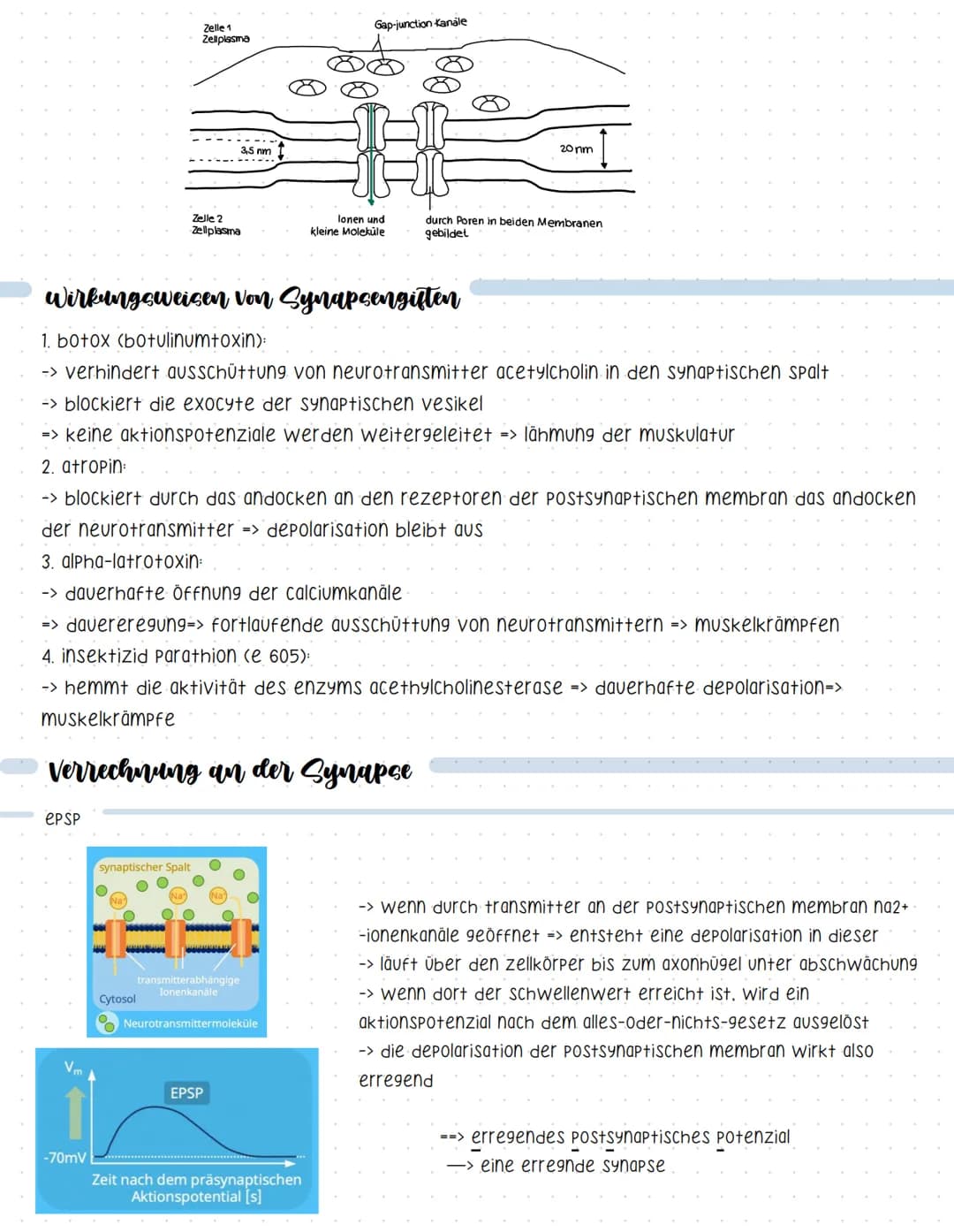 Reaktionsschema
(sensor)
sinnesorgan
Neurobiologie
sensorischer imput
afferenter nerv
weiterleitung elektrischer erregungen
muskel
(effektor