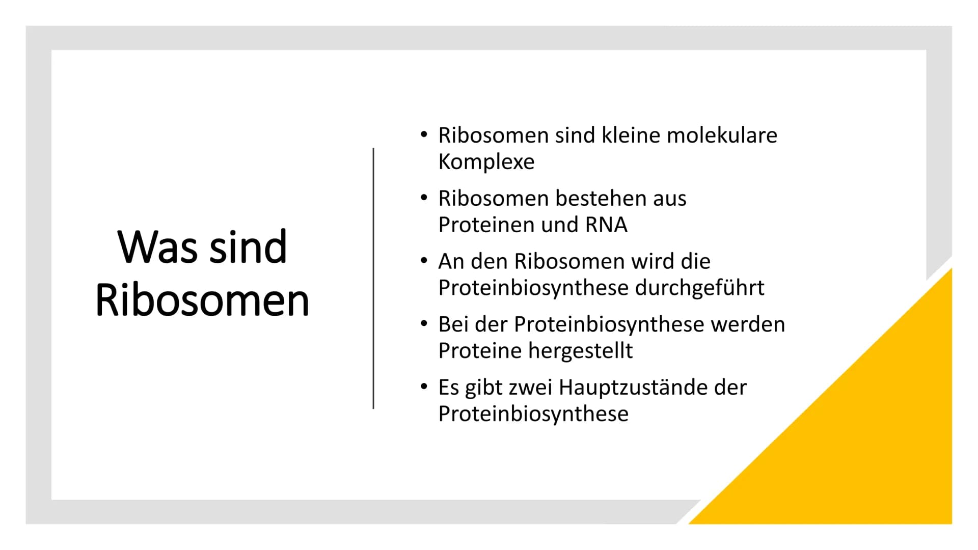 RIBOSOME
Large
subunit
Small subunit
mRNA
Die
Ribosomen
Von Luna & Daria • Was sind Ribosomen
• Der Aufbau
• Die Funktion
●
• Die Entstehung