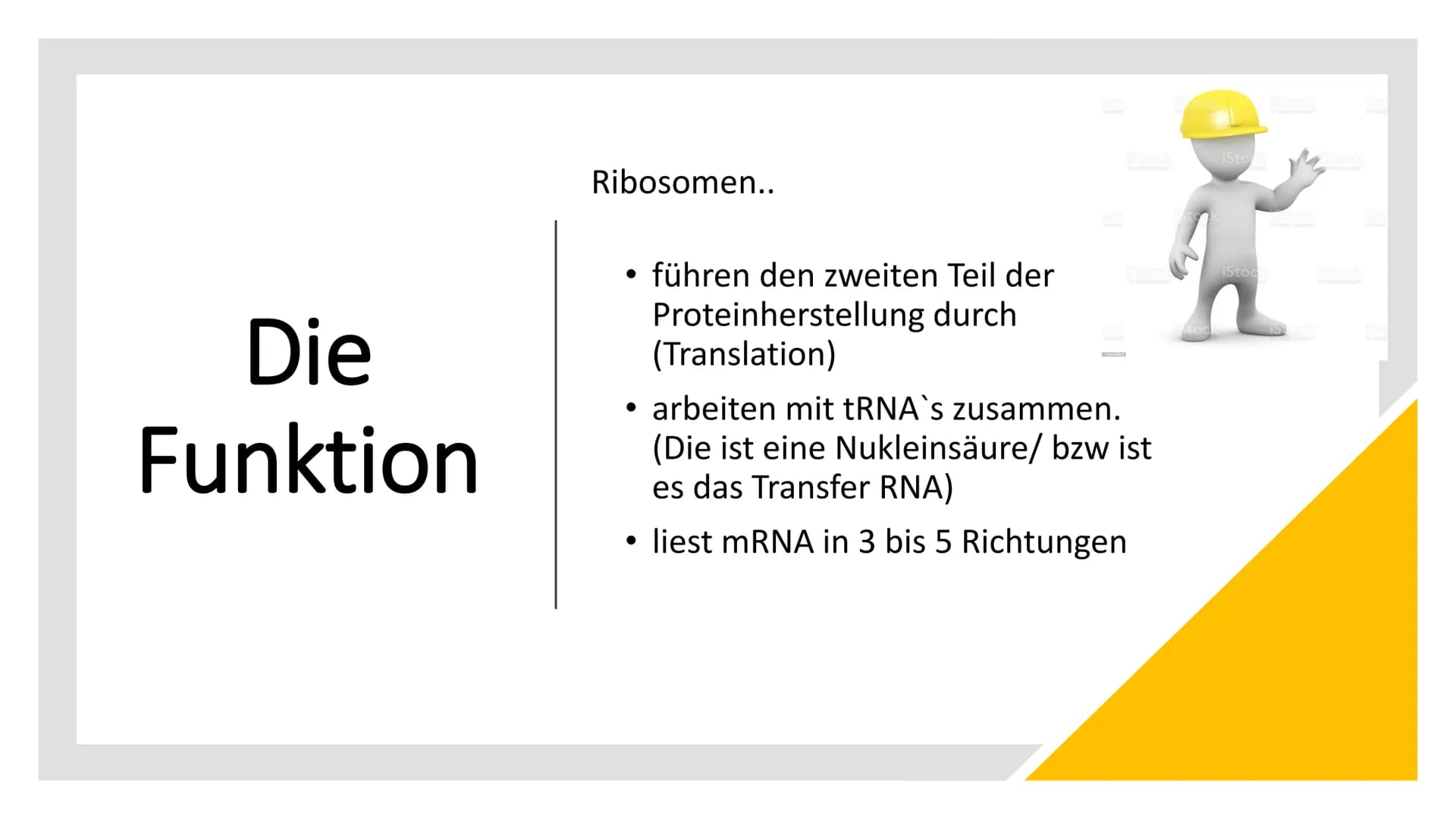 RIBOSOME
Large
subunit
Small subunit
mRNA
Die
Ribosomen
Von Luna & Daria • Was sind Ribosomen
• Der Aufbau
• Die Funktion
●
• Die Entstehung