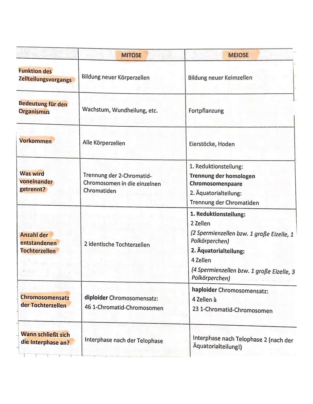 Funktion des
Zellteilungsvorgangs
Bedeutung für den
Organismus
Vorkommen
Was wird
voneinander
getrennt?
Anzahl der
entstandenen
Tochterzelle