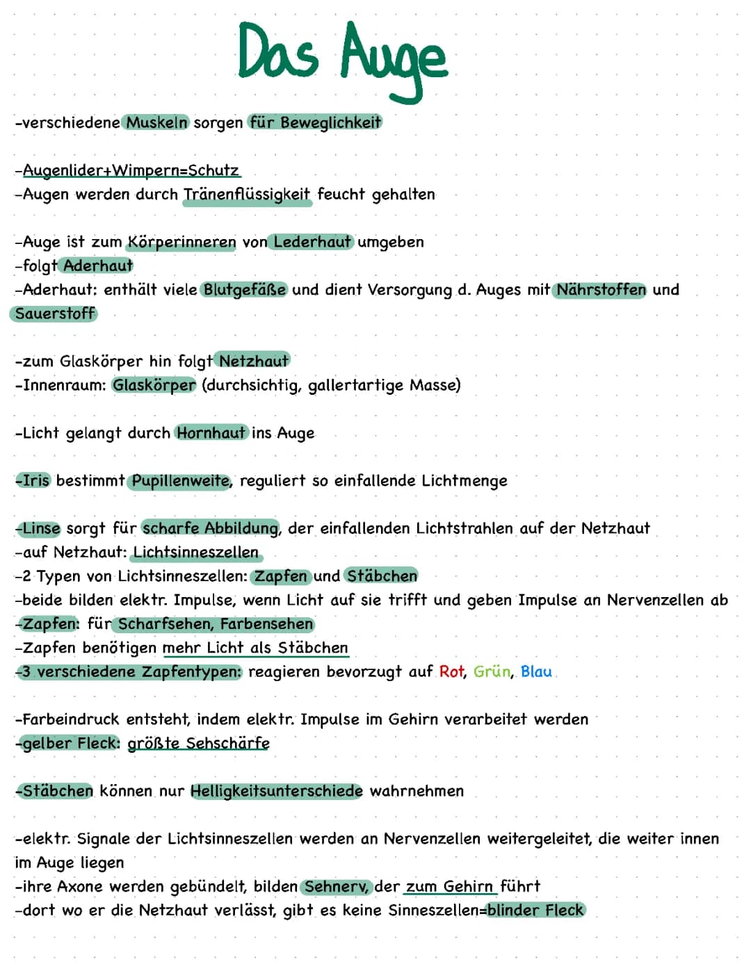 Das Auge