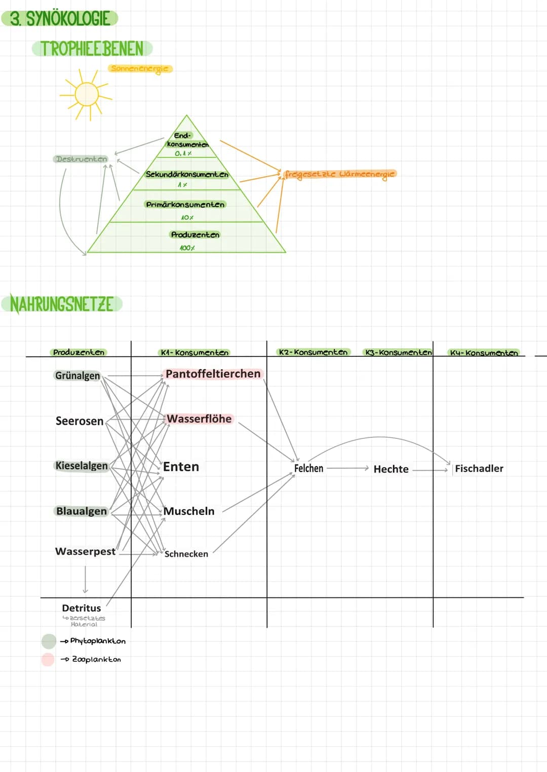 1. ÖKOLOGIE
DEFINITION
dynamisches Beziehungsgefüge aus Biozönose und Biotop, die durch
vielfältige Wechselbeziehungen eine Einheit bilden
t