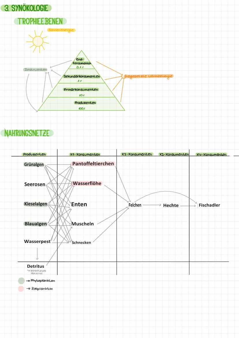 1. ÖKOLOGIE
DEFINITION
dynamisches Beziehungsgefüge aus Biozönose und Biotop, die durch
vielfältige Wechselbeziehungen eine Einheit bilden
t