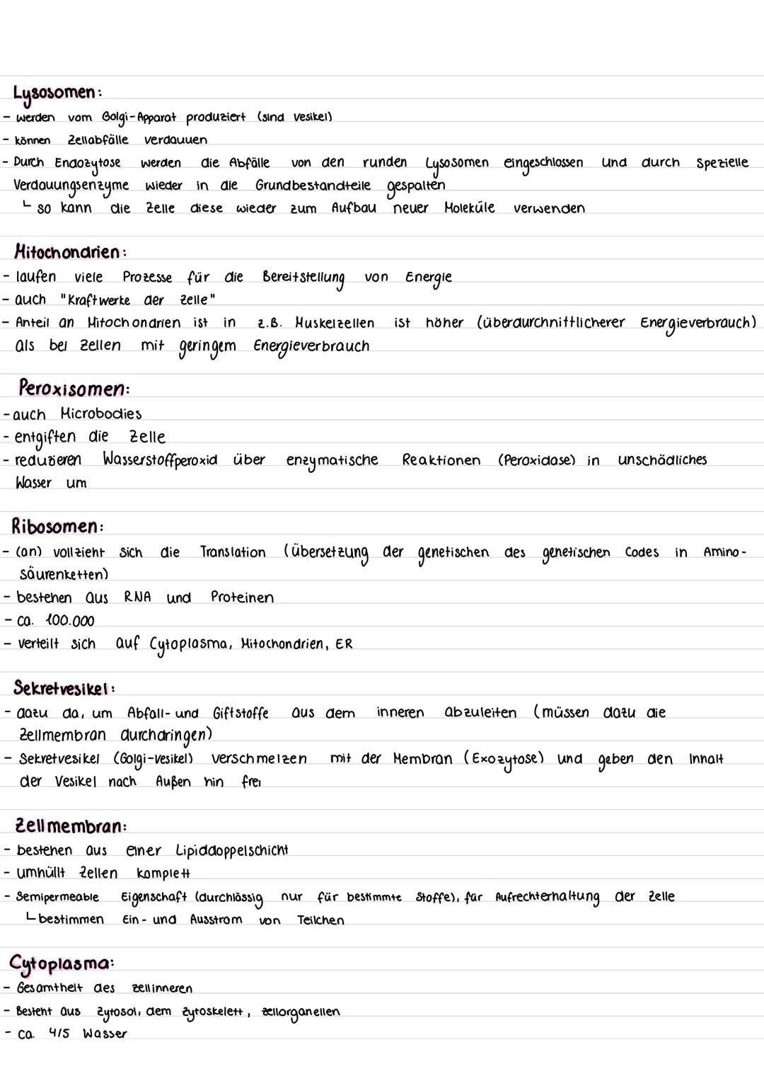 •Die Zelle:
Tierzelle:
Lernzettel
(Mikrotubuli)
Zellmembran
Mitochondrium
Cytoskelett
Ribosomen
Golgi-Apparat
(Dictyosom)
Golgi-Vesikel
Pero