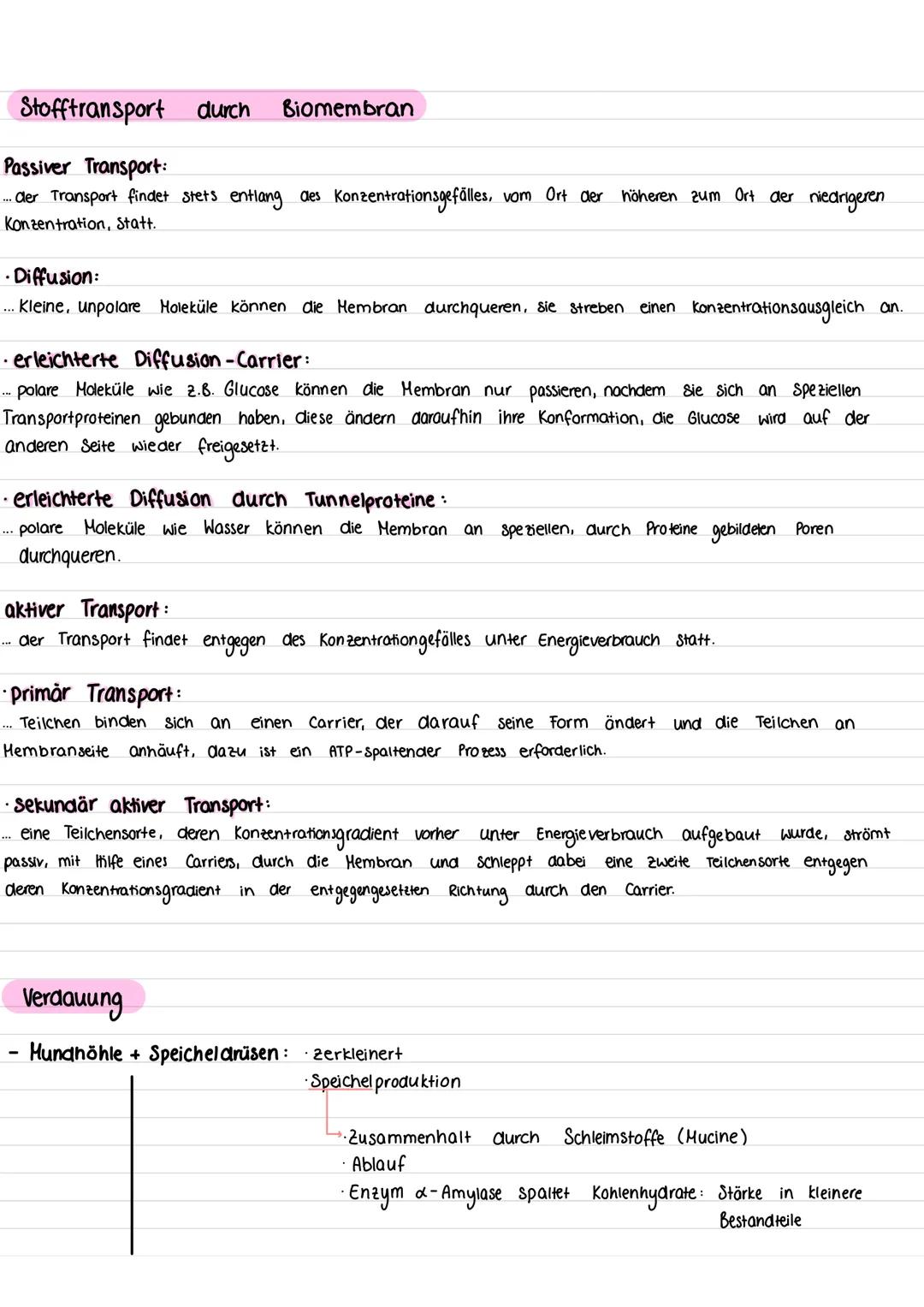 •Die Zelle:
Tierzelle:
Lernzettel
(Mikrotubuli)
Zellmembran
Mitochondrium
Cytoskelett
Ribosomen
Golgi-Apparat
(Dictyosom)
Golgi-Vesikel
Pero