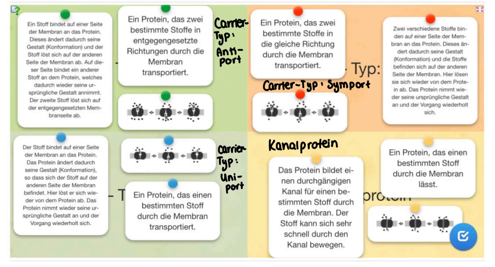 •Die Zelle:
Tierzelle:
Lernzettel
(Mikrotubuli)
Zellmembran
Mitochondrium
Cytoskelett
Ribosomen
Golgi-Apparat
(Dictyosom)
Golgi-Vesikel
Pero