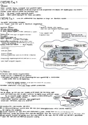 Know Immunbiologie thumbnail