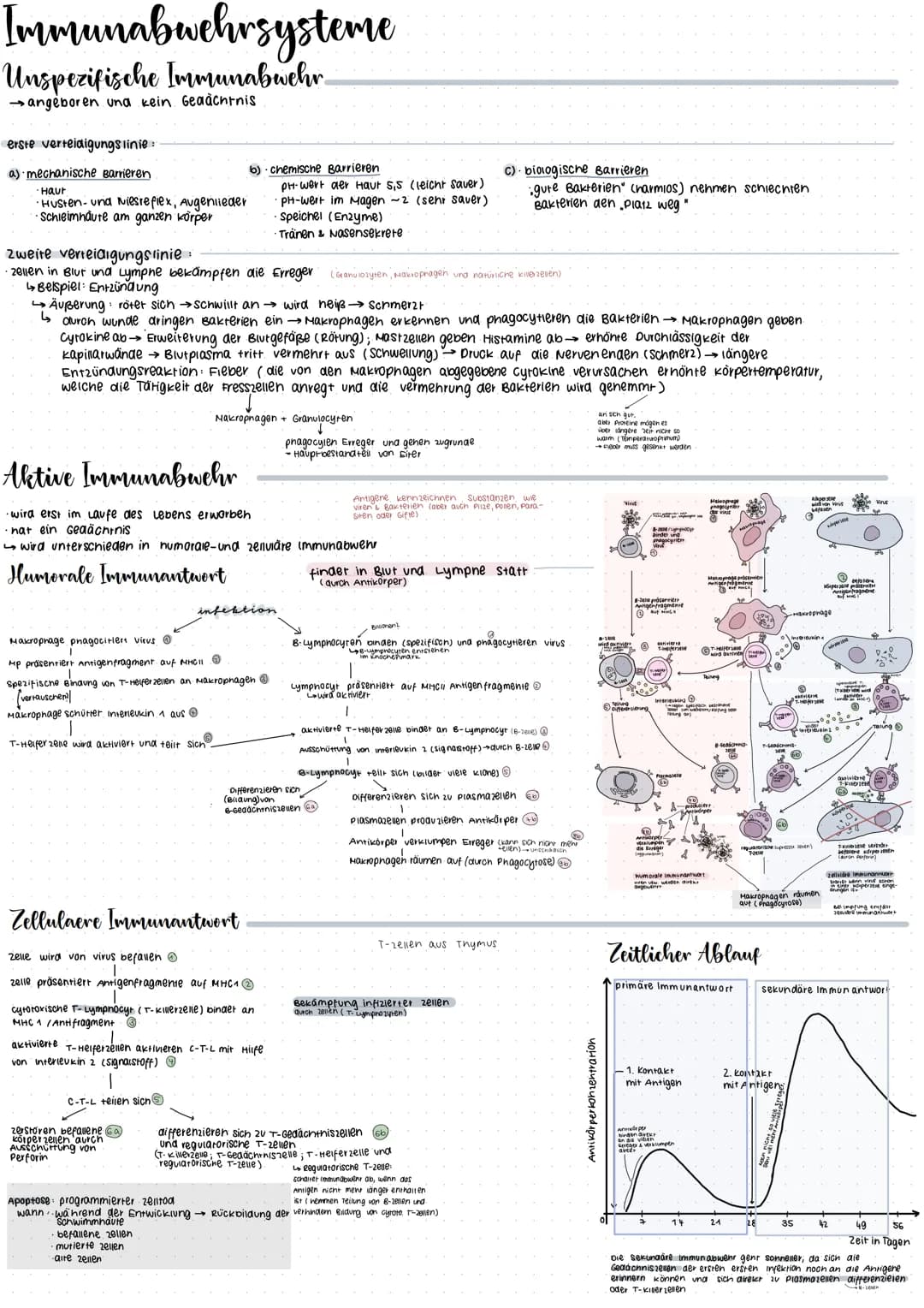 CRISPR/Cas 9
Glossar
CRISPR: Clustered regulary interspaced short palindrome repeats
GIRNA Die CrRNA liefert die sequenz, mit der das Enzym 