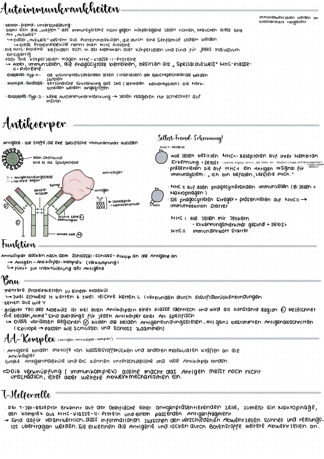CRISPR/Cas 9
Glossar
CRISPR: Clustered regulary interspaced short palindrome repeats
GIRNA Die CrRNA liefert die sequenz, mit der das Enzym 