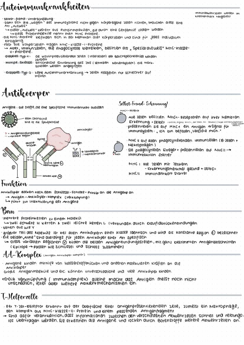 CRISPR/Cas 9
Glossar
CRISPR: Clustered regulary interspaced short palindrome repeats
GIRNA Die CrRNA liefert die sequenz, mit der das Enzym 