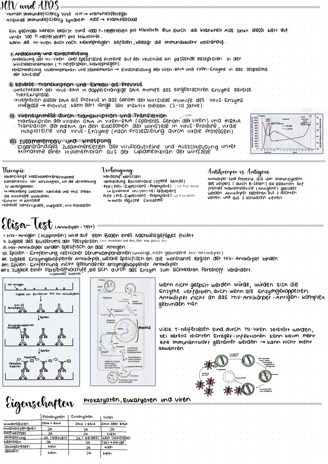 CRISPR/Cas 9
Glossar
CRISPR: Clustered regulary interspaced short palindrome repeats
GIRNA Die CrRNA liefert die sequenz, mit der das Enzym 