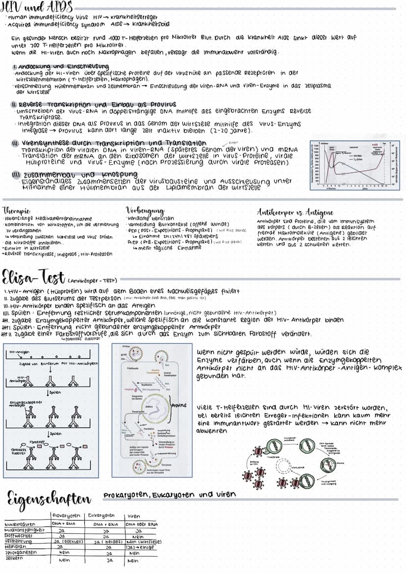 CRISPR/Cas 9
Glossar
CRISPR: Clustered regulary interspaced short palindrome repeats
GIRNA Die CrRNA liefert die sequenz, mit der das Enzym 