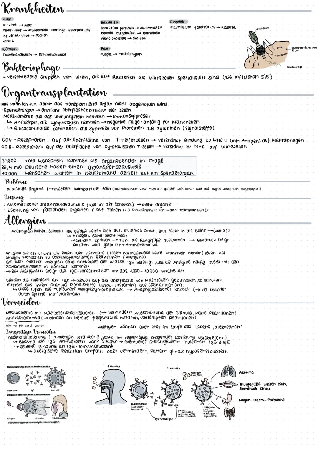 CRISPR/Cas 9
Glossar
CRISPR: Clustered regulary interspaced short palindrome repeats
GIRNA Die CrRNA liefert die sequenz, mit der das Enzym 