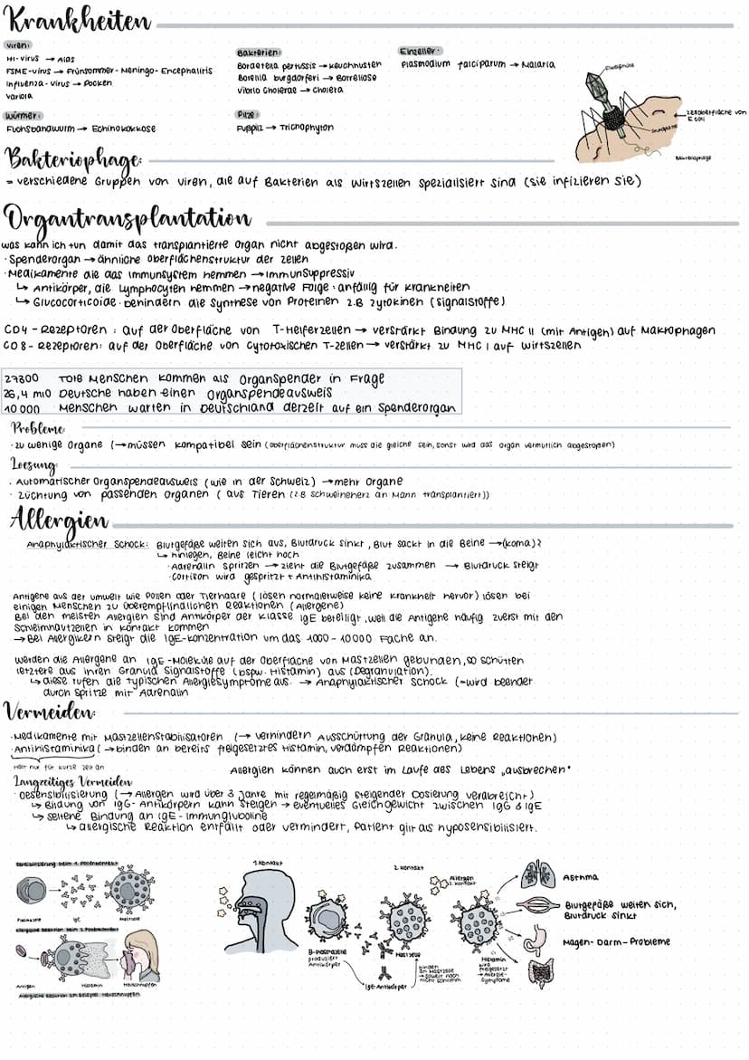 CRISPR/Cas 9
Glossar
CRISPR: Clustered regulary interspaced short palindrome repeats
GIRNA Die CrRNA liefert die sequenz, mit der das Enzym 